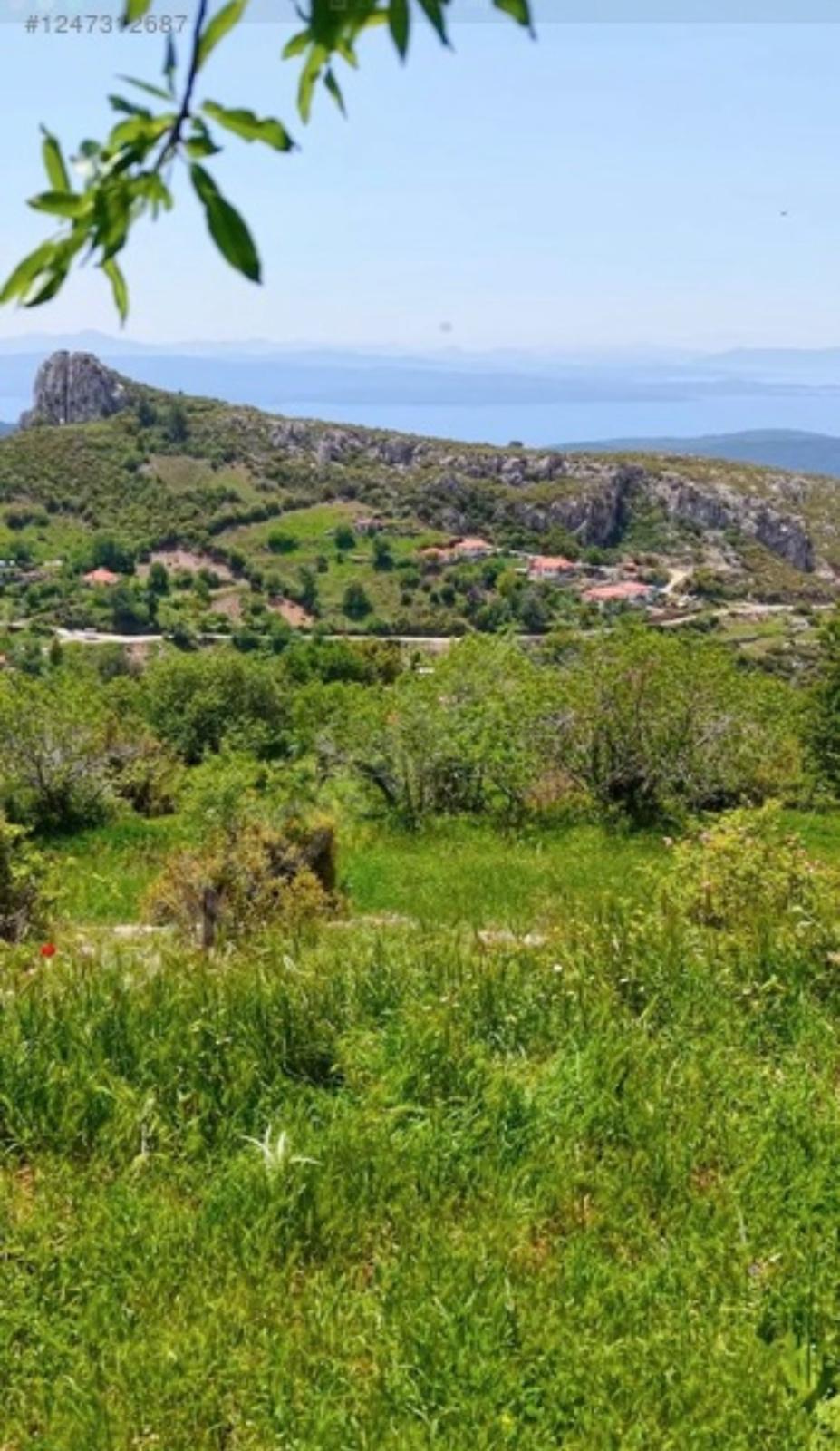Muğla Menteşe Zeytinköy Mahallesi Deniz Manzaralı Tarla