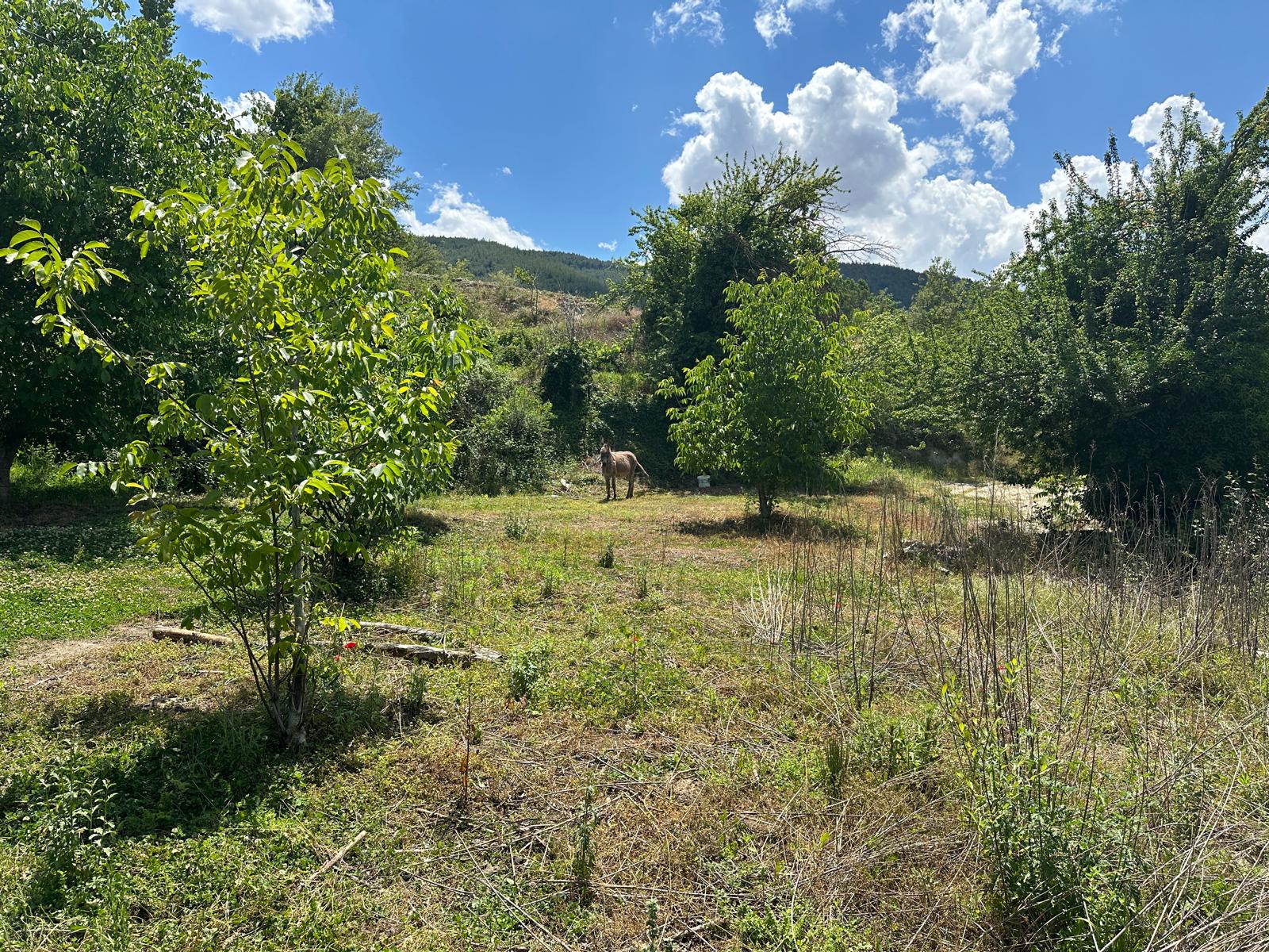 Muğla Menteşe Dokuzçam Mahallesi Satılık Köyiçi İmarlı Tarla