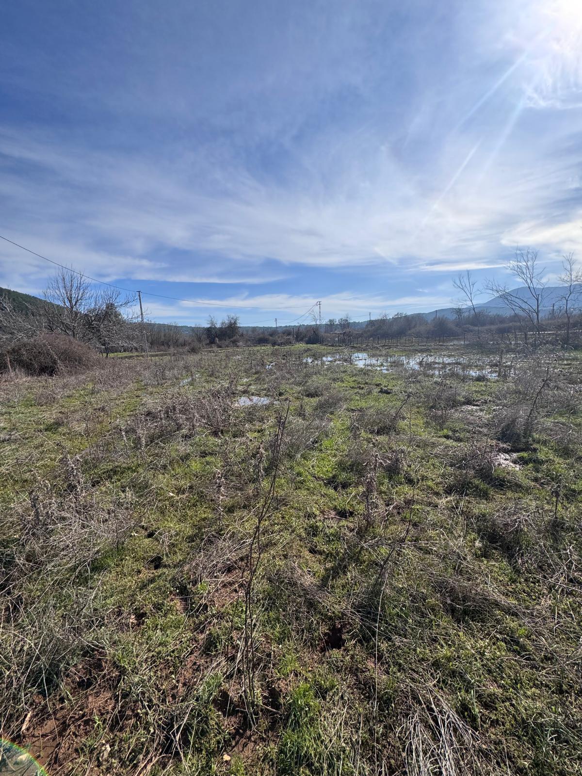 Muğla Menteşe Çiftlik Mahallesinde Satılık Tarla