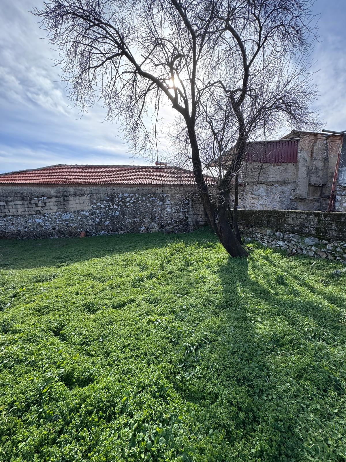 Muğla Menteşe Çiftlik Mahallesinde Satılık Kargir Ev