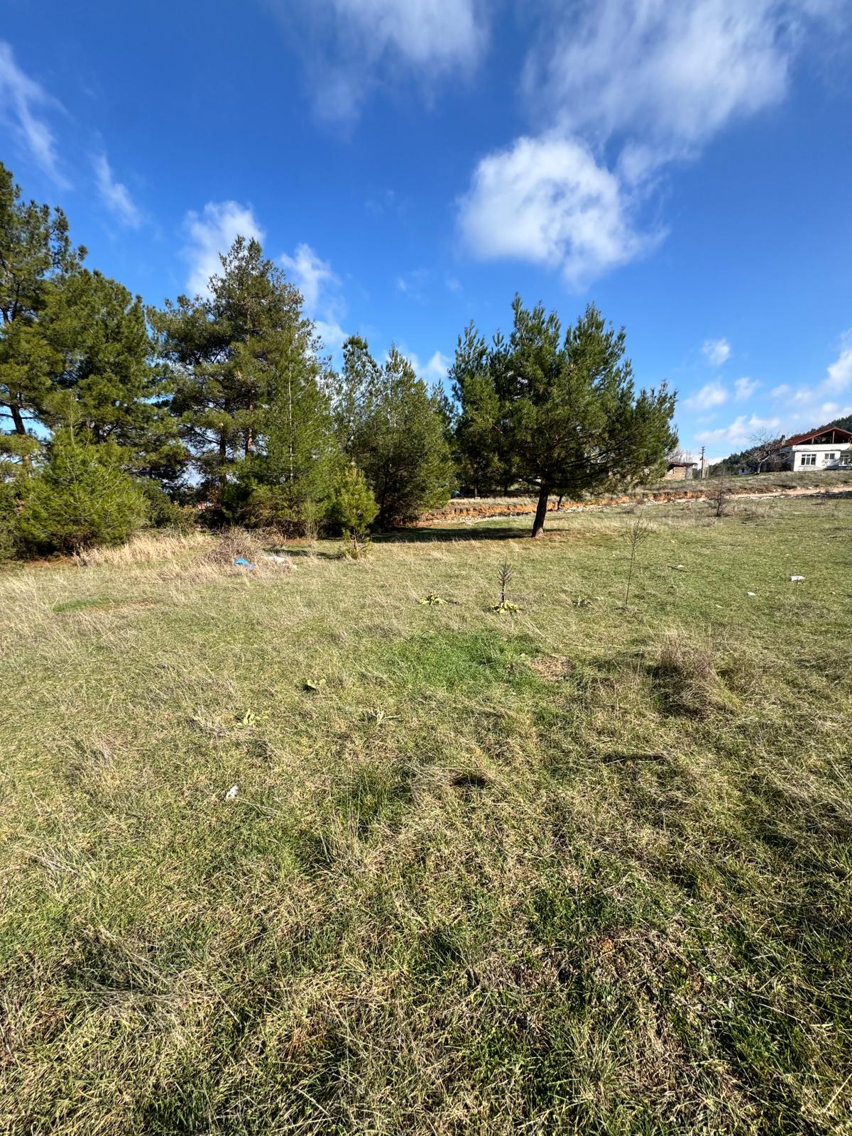 Muğla Menteşe Kafaca Mahallesinde Satılık Arsa