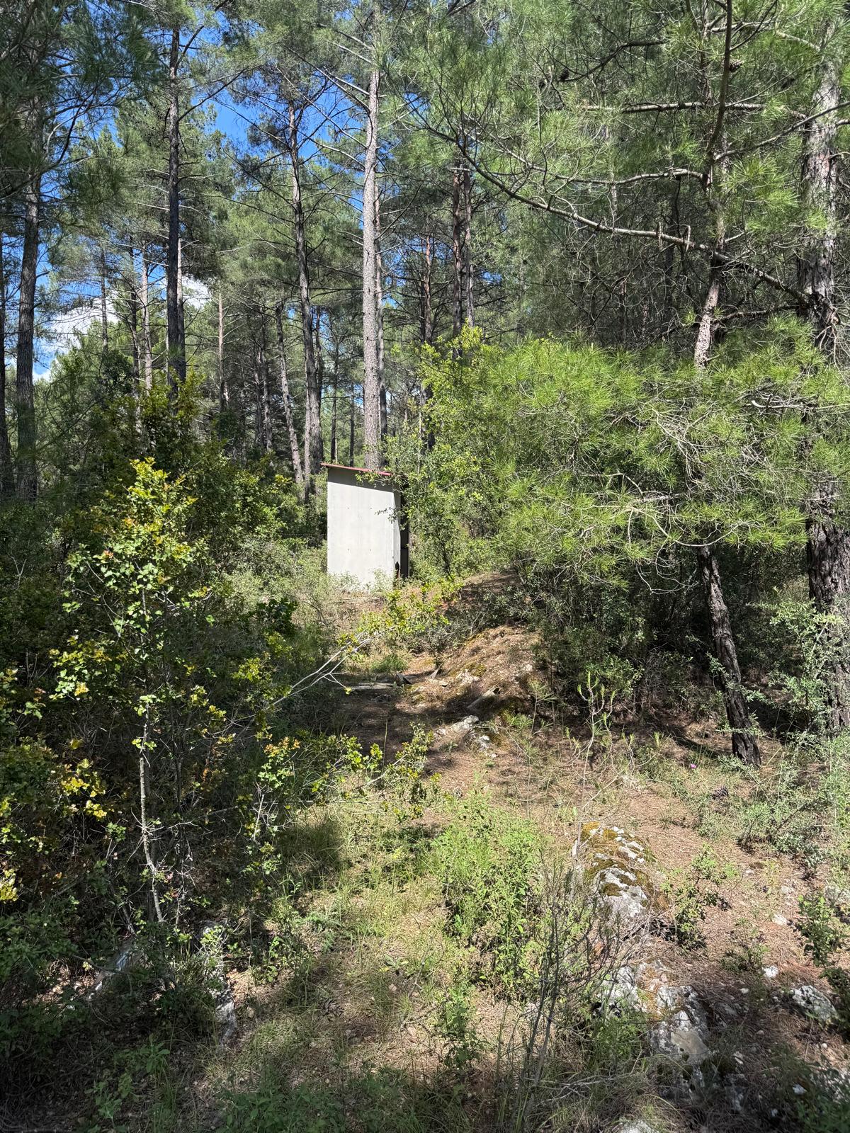 Muğla Menteşe Kozağaç Mahallesi Satılık Tarla