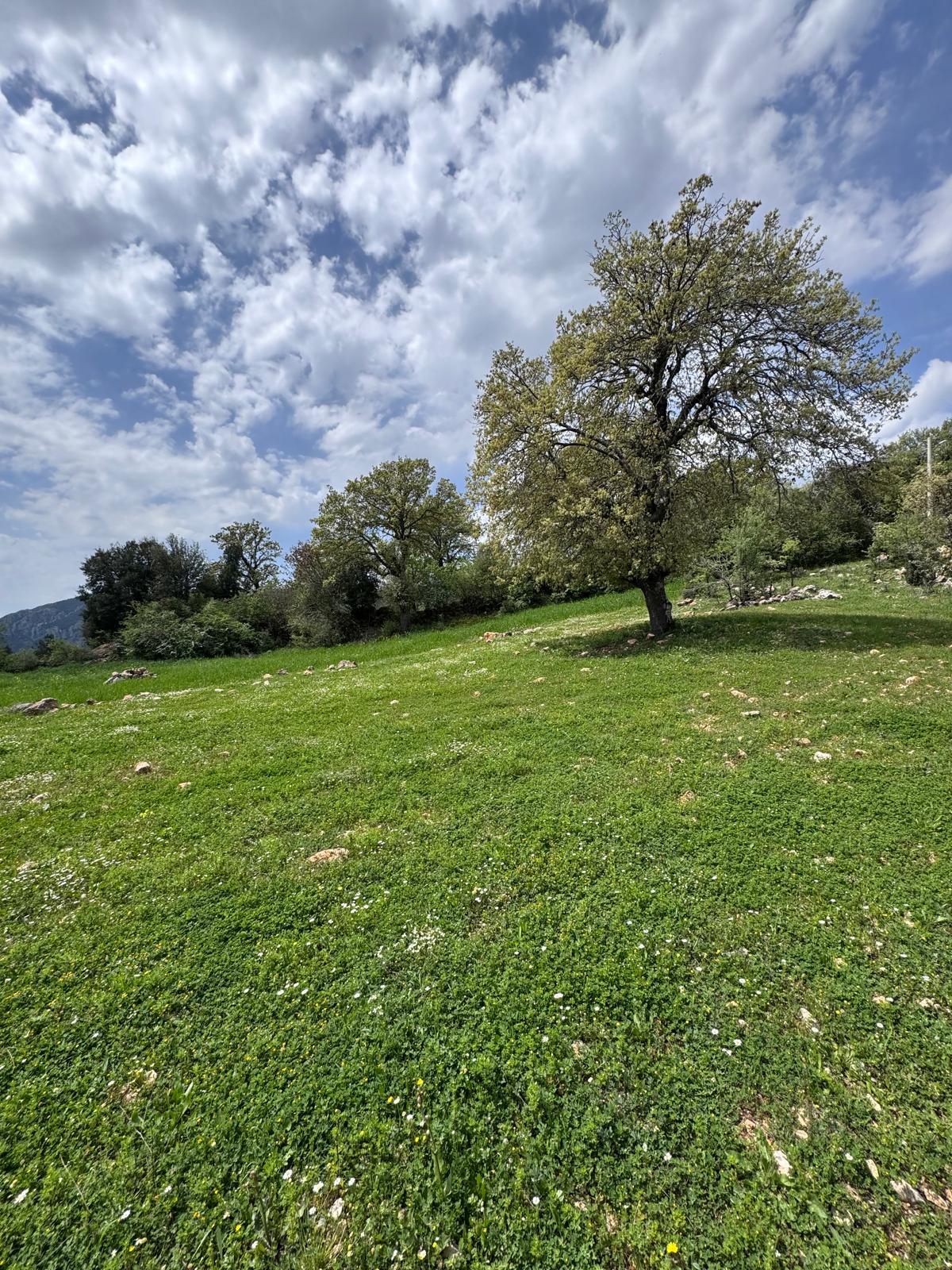 Muğla Menteşe Çatakbağyaka Mahallesi İmarlı Tarla