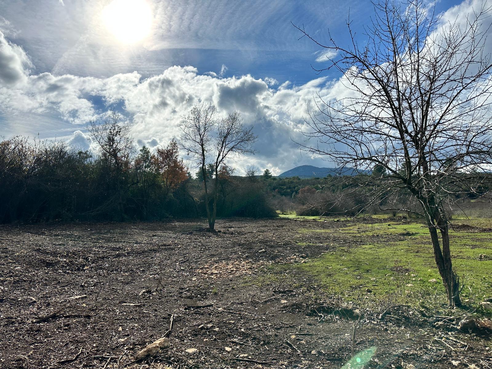 Muğla Menteşe Çiftlik Mahallesinde Satılık Tarla