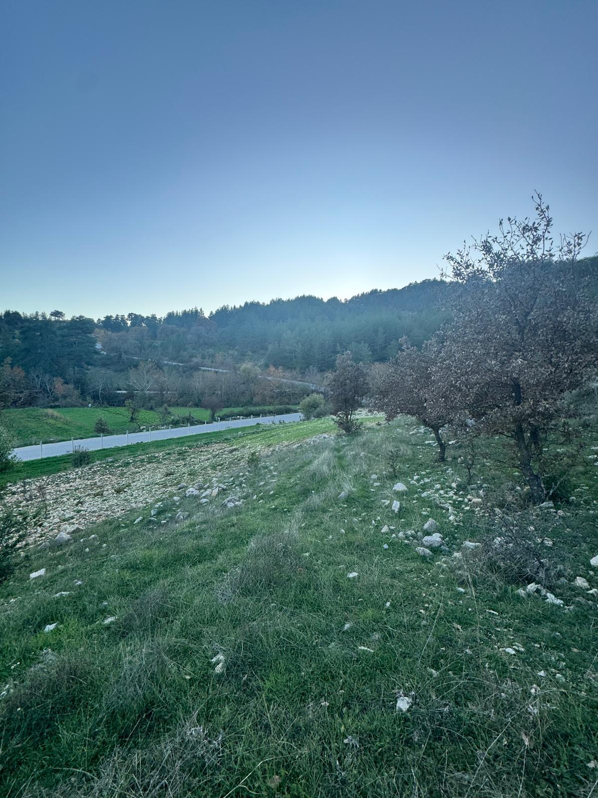 Muğla Menteşe Yerkesik Yeniköy Mahallesinde Satılık Tarla